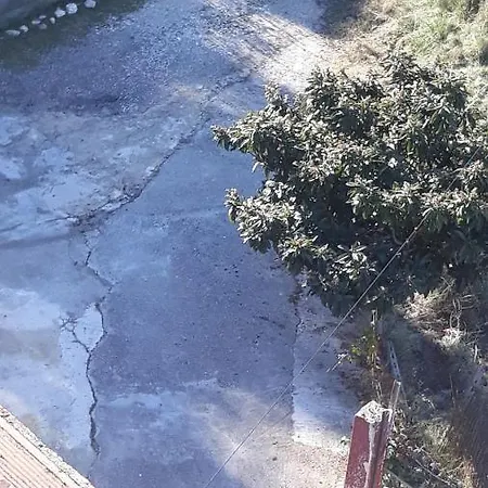 Hotel Sami
